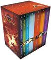 Caixa Harry Potter - Edição Premium + Pôster Exclusivo - Ekonomia
